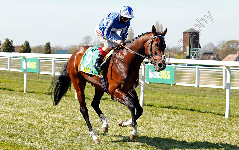 Melody-Of-Life-0001 
 MELODY OF LIFE (Franny Norton)
Sandown 23 Apr 2021 - Pic Steven Cargill / Racingfotos.com