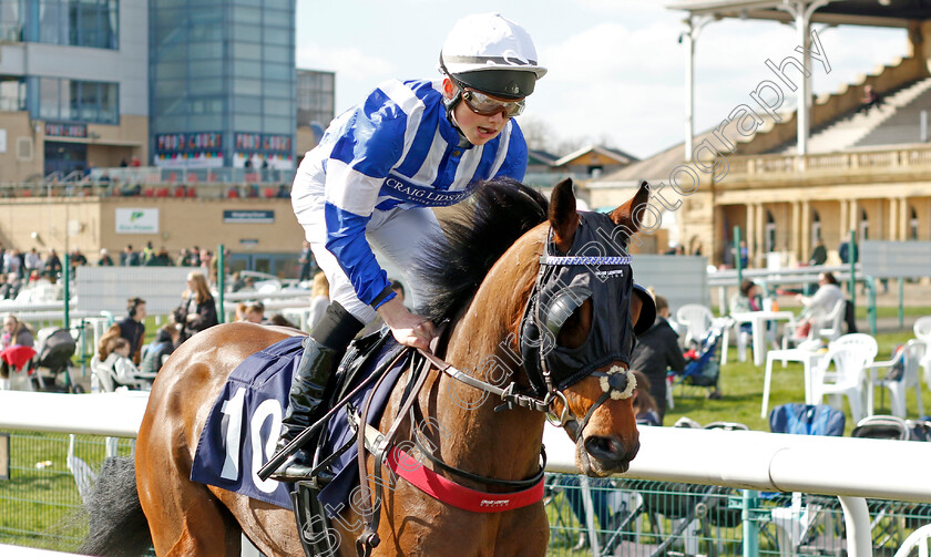 Smile-And-Pay-0001 
 SMILE AND PAY (William Pyle)
Doncaster 2 Apr 2023 - Pic Steven Cargill / Racingfotos.com