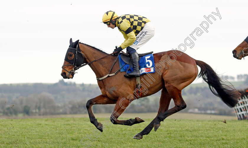 Salvator-Mundi-0011 
 SALVATOR MUNDI (Paul Townend) wins the Sky Bet Moscow Flyer Novice Hurdle
Punchestown 12 Jan 2025 - Pic Steven Cargill / Racingfotos.com