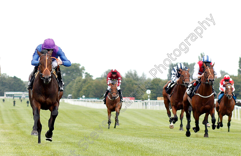 Athmad-0002 
 ATHMAD (James Doyle) wins The Don Deadman Memorial EBF Maiden Stakes Div1
Newbury 17 Aug 2018 - Pic Steven Cargill / Racingfotos.com