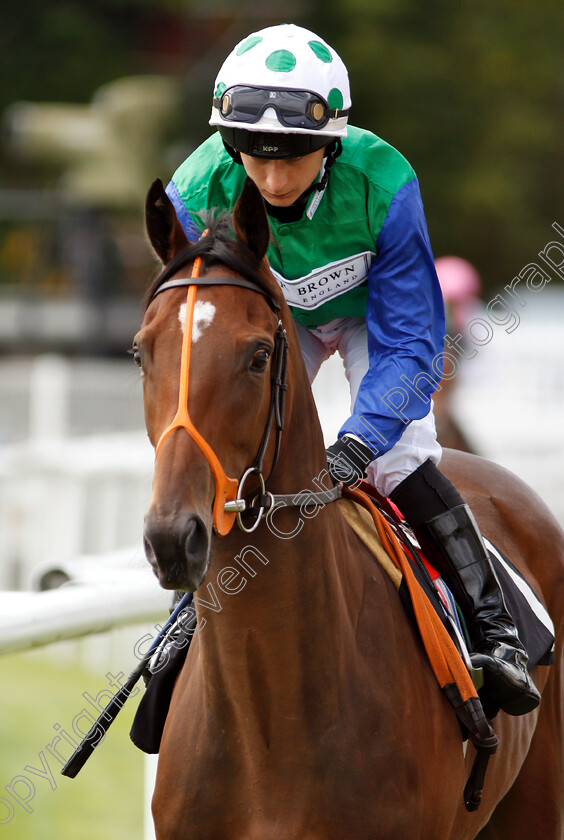 Barbarosa-0001 
 BARBAROSA (Nicola Currie)
Newbury 17 Aug 2018 - Pic Steven Cargill / Racingfotos.com