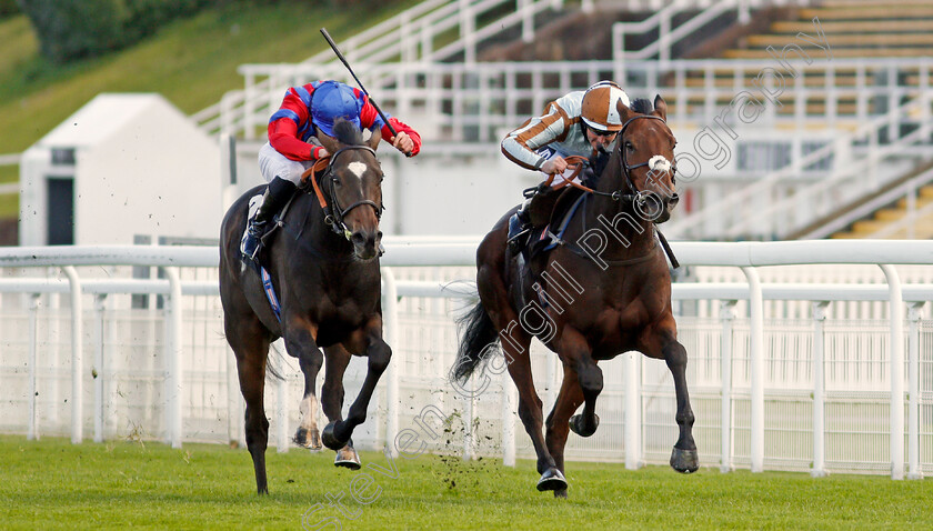 Land-Of-WIinter-0002 
 LAND OF WINTER (left, James Doyle) beats CAYIRLI (right) in The Download The tote Placepot App Handicap
Goodwood 11 Oct 2020 - Pic Steven Cargill / Racingfotos.com