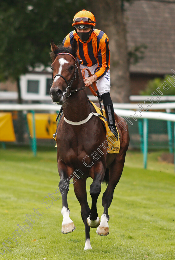 Dancing-Harry-0001 
 DANCING HARRY (Cam Hardie)
Haydock 5 Sep 2020 - Pic Steven Cargill / Racingfotos.com