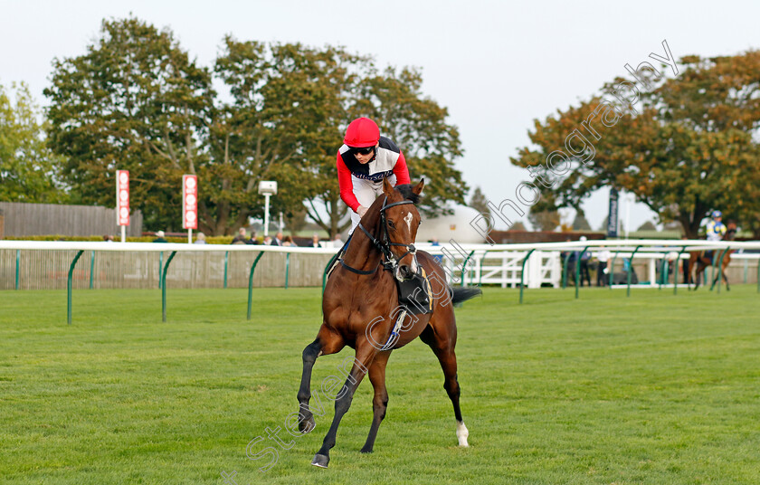 Aces-High-0001 
 ACES HIGH (Callum Shepherd)
Newmarket 7 Oct 2023 - Pic Steven Cargill / Racingfotos.com