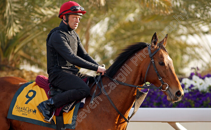 Luxembourg-0004 
 LUXEMBOURG training for The Neom Turf Cup
King Abdulaziz Racecourse, Saudi Arabia 20 Feb 2024 - Pic Steven Cargill / Racingfotos.com