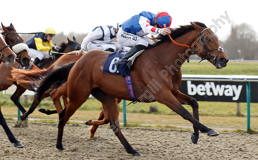 Sha-La-La-La-Lee-0004 
 SHA LA LA LA LEE (Richard Kingscote) wins The Sun Racing No1 Racing Site Handicap
Lingfield 2 Mar 2019 - Pic Steven Cargill / Racingfotos.com