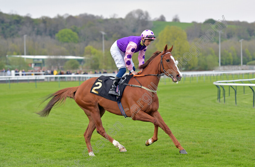 Hot-Chesnut-0002 
 HOT CHESNUT (David Probert)
Nottingham 22 Apr 2023 - Pic Steven Cargill / Becky Bailey / Racingfotos.com