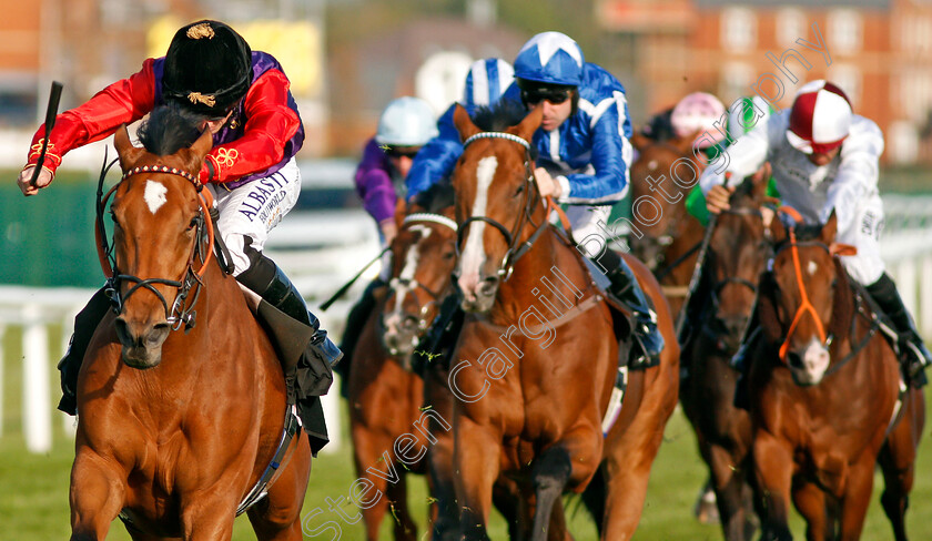 Daphne-0009 
 DAPHNE (Ryan Moore) wins The Dubai Duty Free Finest Surprise Handicap Newbury 23 Sep 2017 - Pic Steven Cargill / Racingfotos.com