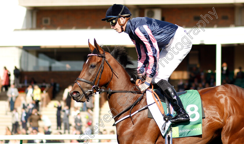 Queen-Of-Bermuda-0001 
 QUEEN OF BERMUDA (James Doyle)
Newmarket 29 Sep 2018 - Pic Steven Cargill / Racingfotos.com