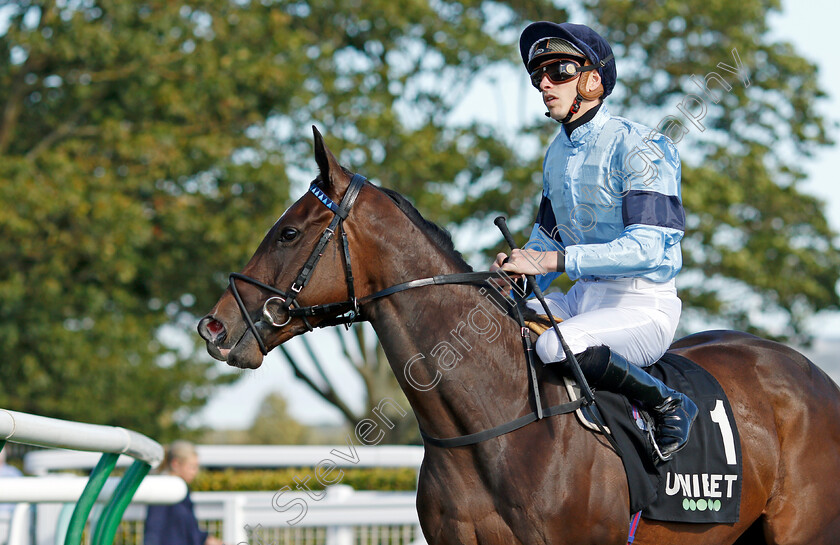 Cachet-0003 
 CACHET (James Doyle)
Newmarket 24 Sep 2021 - Pic Steven Cargill / Racingfotos.com