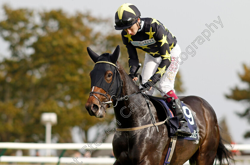 Beenham-0001 
 BEENHAM (Oisin Murphy)
Newmarket 7 Oct 2023 - Pic Steven Cargill / Racingfotos.com