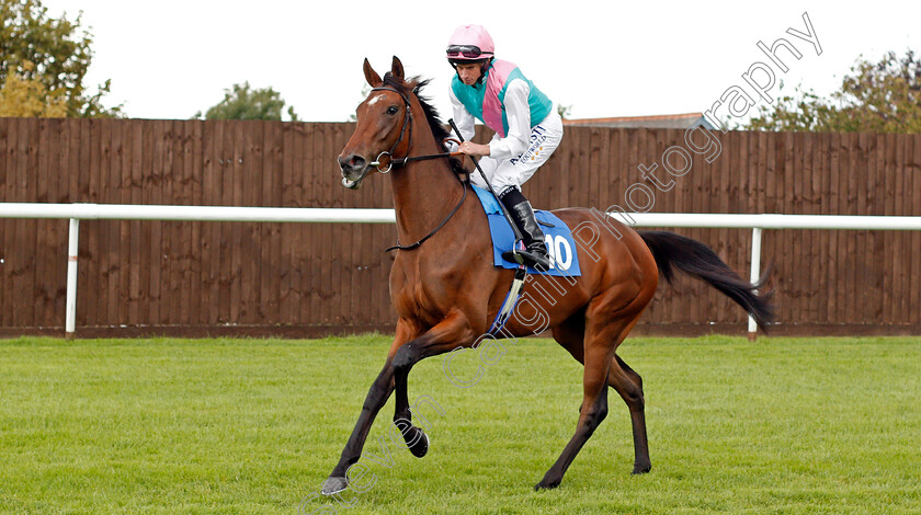 Woodhouse-0001 
 WOODHOUSE (Ryan Moore)
Leicester 10 Sep 2019 - Pic Steven Cargill / Racingfotos.com