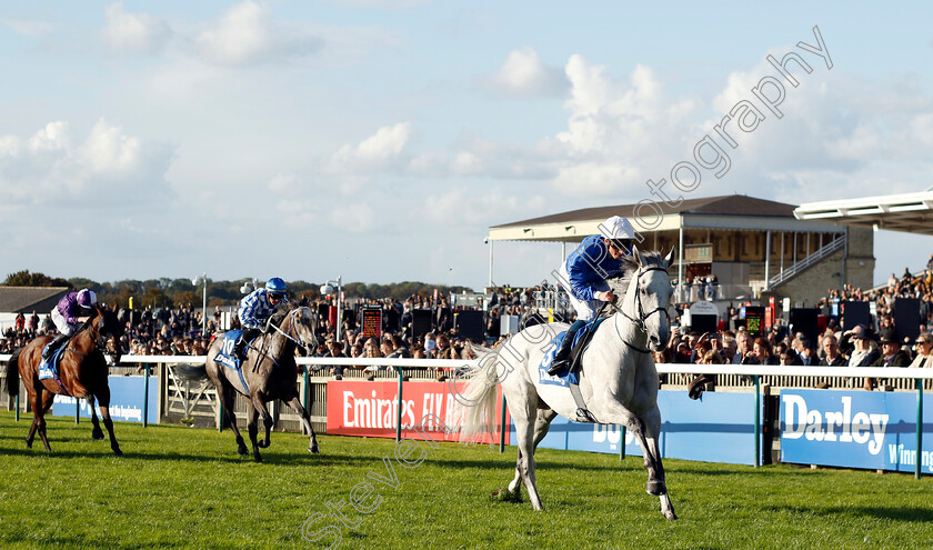 Highland-Avenue-0005 
 HIGHLAND AVENUE (William Buick) wins The Darley Stakes
Newmarket 14 Oct 2023 - Pic Steven Cargill / Racingfotos.com