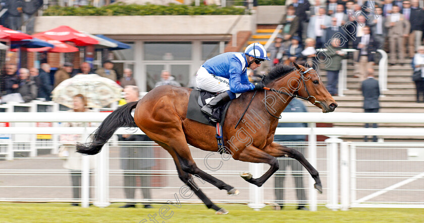 Mutawaffer-0005 
 MUTAWAFFER (Jim Crowley) wins The EBF Novice Stakes Goodwood 24 May 2018 - Pic Steven Cargill / Racingfotos.com