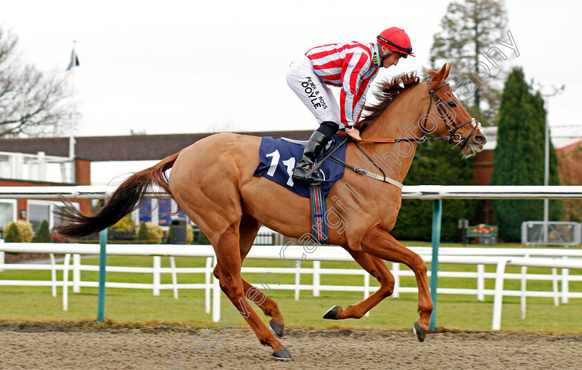 Toriano-0001 
 TORIANO (Tom Marquand) Lingfield 13 Dec 2017 - Pic Steven Cargill / Racingfotos.com