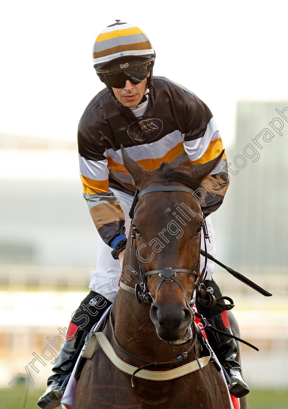 Laieth-0001 
 LAIETH (Brett Doyle)
Meydan 7 Mar 2020 - Pic Steven Cargill / Racingfotos.com