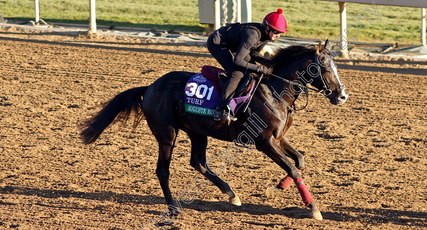 Auguste-Rodin-0002 
 AUGUSTE RODIN training for The Breeders' Cup Turf 
Santa Anita USA, 31 October 2023 - Pic Steven Cargill / Racingfotos.com