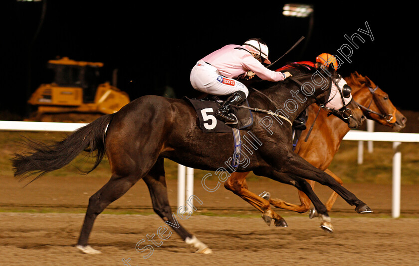 Fivehundredmiles-0003 
 FIVEHUNDREDMILES (Hollie Doyle) wins The tote.co.uk Now Never Beaten SP Handicap
Chelmsford 22 Oct 2020 - Pic Steven Cargill / Racingfotos.com