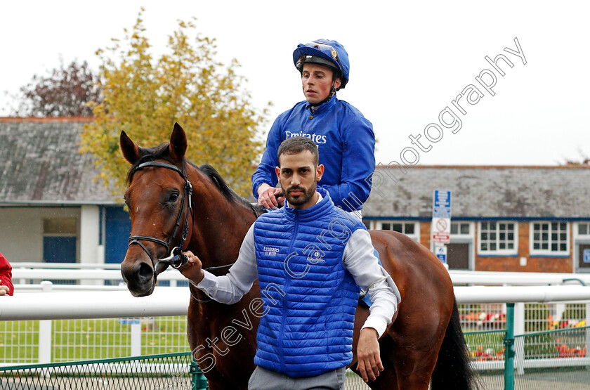 Parlando-0004 
 PARLANDO (William Buick) after winning The British EBF Novice Stakes Div2
Leicester 12 Oct 2021 - Pic Steven Cargill / Racingfotos.com