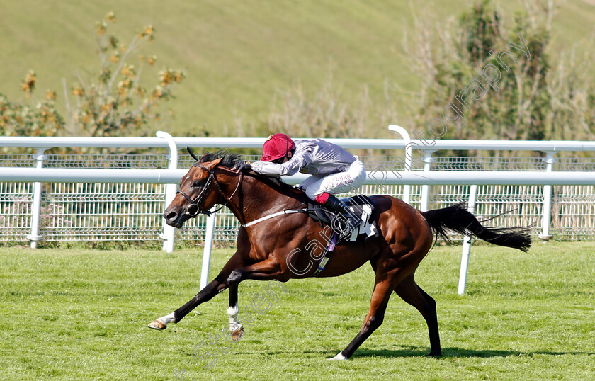 Toro-Strike-0003 
 TORO STRIKE (Oisin Murphy) wins The Theo Fennell Handicap
Goodwood 29 Jul 2020 - Pic Steven Cargill / Racingfotos.com