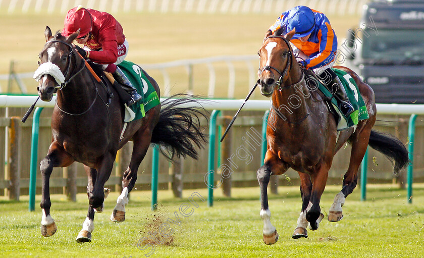 Royal-Dornoch-0002 
 ROYAL DORNOCH (right, Wayne Lordan) beats KAMEKO (left) in The Juddmonte Royal Lodge Stakes
Newmarket 28 Sep 2019 - Pic Steven Cargill / Racingfotos.com