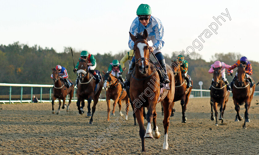 Wonder-Starelzaam-0003 
 WONDER STARELZAAM (George Bass) wins The Mansionbet Proud Partners Of The AWC Apprentice Handicap
Lingfield 28 Oct 2021 - Pic Steven Cargill / Racingfotos.com