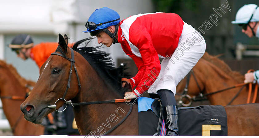 Inherit-0001 
 INHERIT (Richard Kingscote)
Newmarket 28 Jun 2024 - Pic Steven Cargill / Racingfotos.com