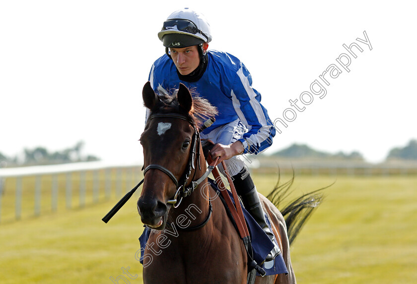 Majesty s-Pleasure-0002 
 MAJESTY'S PLEASURE (Luke Morris)
Bath 23 Jun 2021 - Pic Steven Cargill / Racingfotos.com