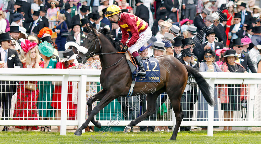 Tropical-Storm-0001 
 TROPICAL STORM (Oisin Murphy)
Royal Ascot 20 Jun 2024 - Pic Steven Cargill / Racingfotos.com