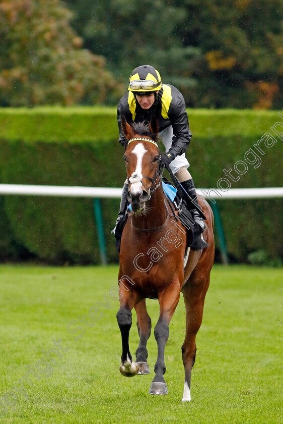 Ajyad-0001 
 AJYAD (Kieran O'Neill)
Nottingham 11 Oct 2023 - Pic Steven Cargill / Racingfotos.com