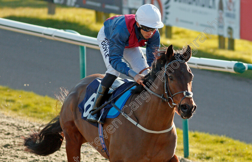 Mercurist-0004 
 MERCURIST (Sean Levey) wins The Bombardier British Hopped Amber Beer Handicap Div1
Lingfield 26 Feb 2021 - Pic Steven Cargill / Racingfotos.com