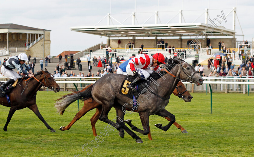 Ashky-0003 
 ASHKY (Jim Crowley) wins The Lifetime In Racing Awards Handicap
Newmarket 22 Sep 2022 - Pic Steven Cargill / Racingfotos.com