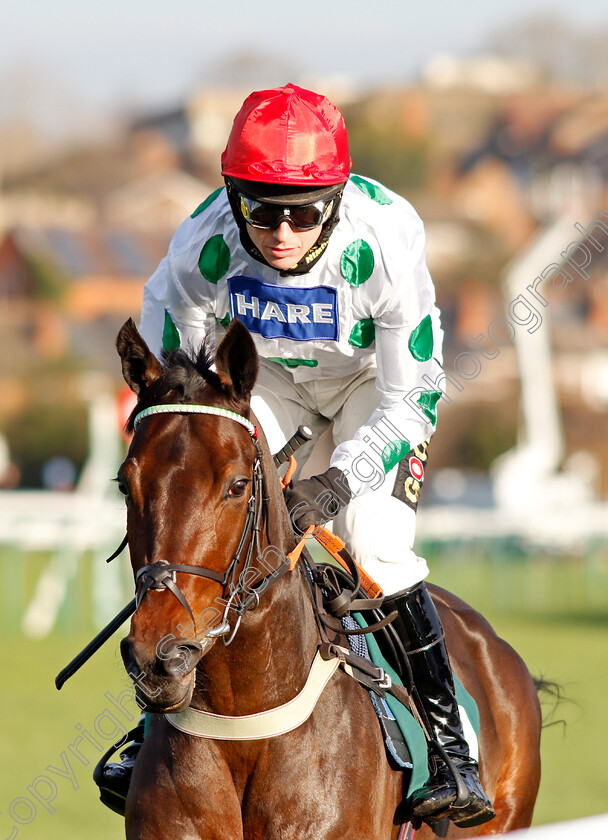 Vazir 
 VAZIR (Tom Cannon)
Warwick 9 Dec 2021 - Pic Steven Cargill / Racingfotos.com