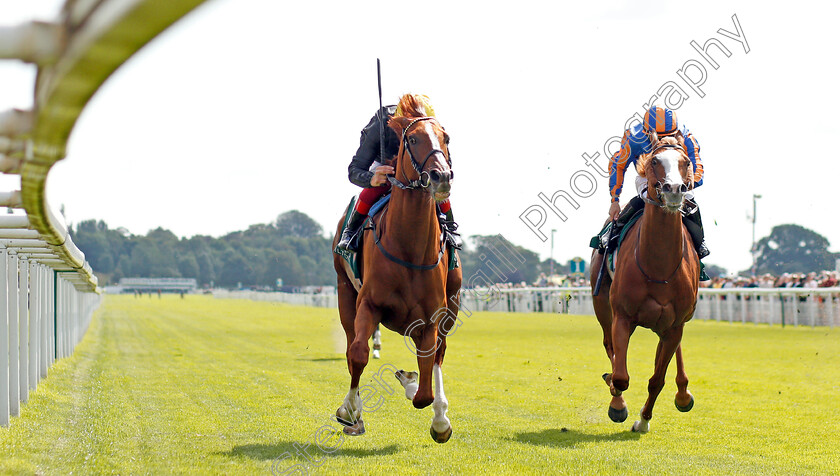 Stradivarius-0004 
 STRADIVARIUS (Frankie Dettori) beats IL PARADISO (right) in The Weatherbys Hamilton Lonsdale Cup
York 23 Aug 2019 - Pic Steven Cargill / Racingfotos.com