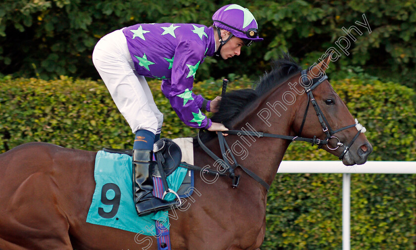 Savanna-Gold-0001 
 SAVANNA GOLD (Kieran Shoemark)
Kempton 2 Oct 2019 - Pic Steven Cargill / Racingfotos.com