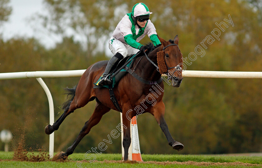 Carys -Commodity-0005 
 CARYS' COMMODITY (Jonjo O'Neill Jr) wins The Champions Day Form Study On attheraces.com/ascot Handicap Hurdle
Fakenham 16 Oct 2020 - Pic Steven Cargill / Racingfotos.com