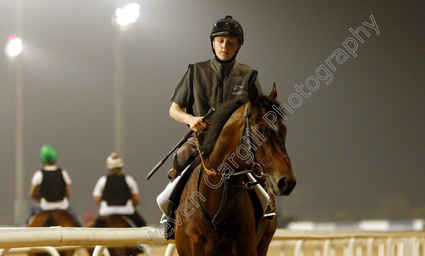 Sands-Of-Mali-0003 
 SANDS OF MALI training for The Al Quoz Sprint
Meydan 28 Mar 2019 - Pic Steven Cargill / Racingfotos.com