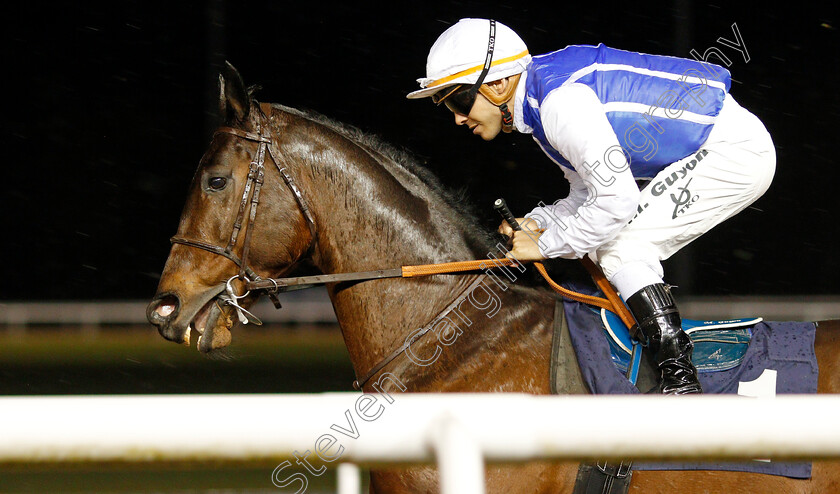 Funny-Kid-0001 
 FUNNY KID (Maxime Guyon)
Wolverhampton 13 Jan 2020 - Pic Steven Cargill / Racingfotos.com