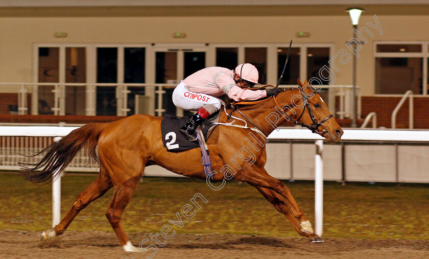 Fred-0003 
 FRED (Franny Norton) wins The tote.co.uk Live Streaming Every UK Race Handicap
Chelmsford 18 Feb 2021 - Pic Steven Cargill / Racingfotos.com