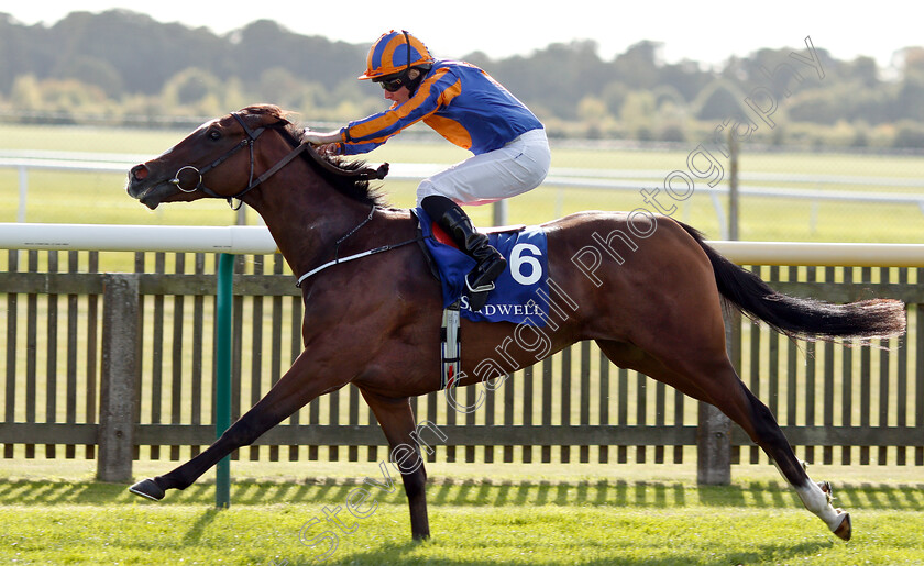 Just-Wonderful-0009 
 JUST WONDERFUL (Ryan Moore) wins The Shadwell Rockfel Stakes
Newmarket 28 Sep 2018 - Pic Steven Cargill / Racingfotos.com