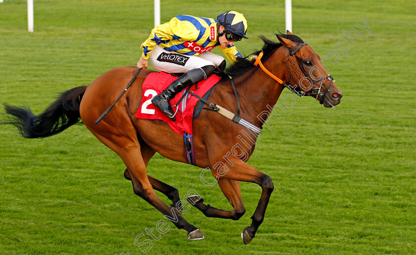 Lyndon-B-0004 
 LYNDON B (Daniel Muscutt) wins The Hwfa Williams Handicap
Sandown 21 Jul 2021 - Pic Steven Cargill / Racingfotos.com