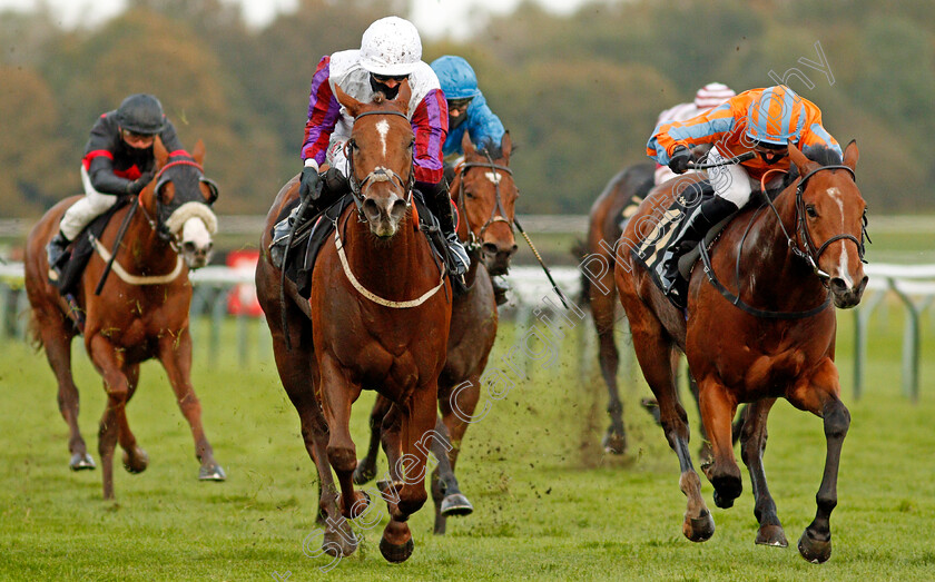 Balancing-Act-0004 
 BALANCING ACT (left, Jack Garritty) beats CHARLES LE BRUN (right) in The Download The Mansionbet App Handicap Div2
Nottingham 14 Oct 2020 - Pic Steven Cargill / Racingfotos.com