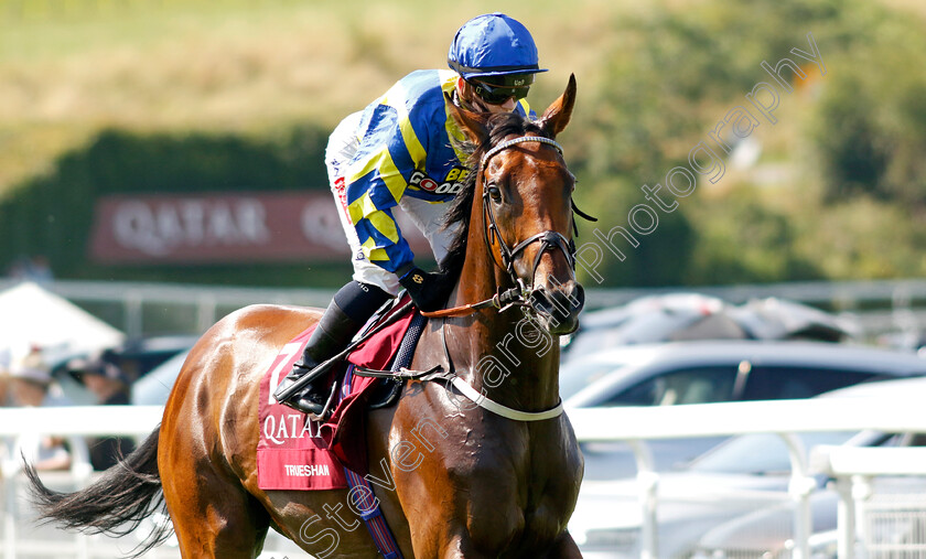 Trueshan-0001 
 TRUESHAN (Hollie Doyle)
Goodwood 30 Jul 2024 - Pic Steven Cargill / Racingfotos.com