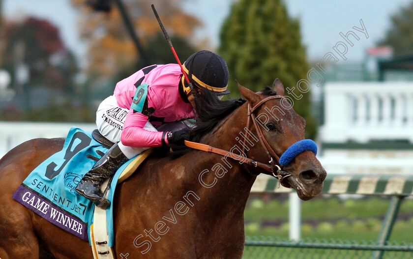 Game-Winner-0004 
 GAME WINNER (Joel Rosario) wins The Breeders' Cup Juvenile
Churchill Downs 2 Nov 2018 - Pic Steven Cargill / Racingfotos.com