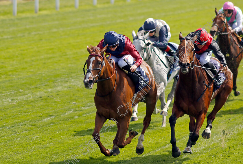 Lilac-Road-0005 
 LILAC ROAD (left, Tom Marquand) beats ARISTIA (right) in The Al Basti Equiworld Dubai Middleton Fillies Stakes
York 12 May 2022 - Pic Steven Cargill / Racingfotos.com