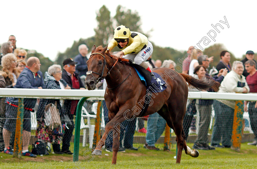 Zabeel-Prince-0003 
 ZABEEL PRINCE (Andrea Atzeni) wins The Sea-Deer Handicap Yarmouth 20 Sep 2017 - Pic Steven Cargill / Racingfotos.com