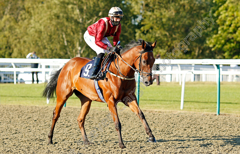 Thomas-Percy-0001 
 THOMAS PERCY (Ellie Mackenzie)
Lingfield 4 Aug 2020 - Pic Steven Cargill / Racingfotos.com