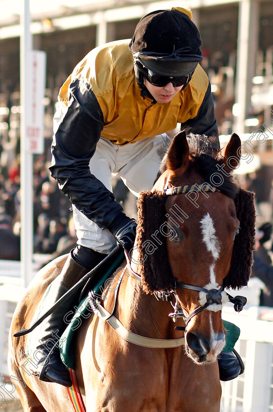 Croco-Bay-0001 
 CROCO BAY (Kielan Woods)
Cheltenham 14 Dec 2019 - Pic Steven Cargill / Racingfotos.com