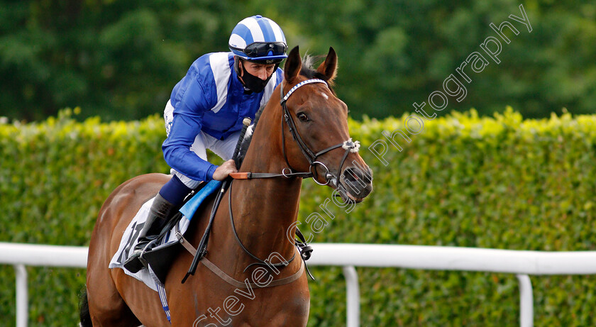 Wishaah-0001 
 WISHAAH (Jim Crowley) winner of The Unibet Extra Place Offers Every Day Novice Stakes Div1
Kempton 2 Jun 2021 - Pic Steven Cargill / Racingfotos.com