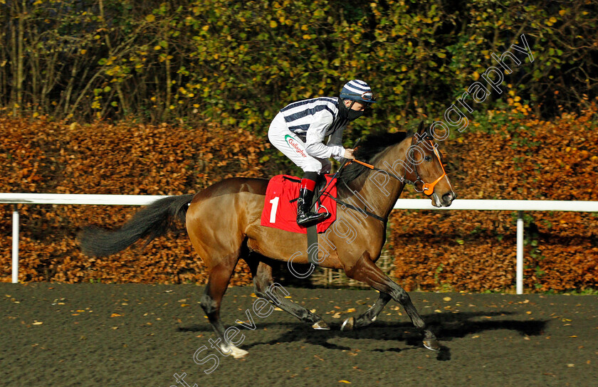 Mjolnir-0001 
 MJOLNIR (Shane Kelly)
Kempton 25 Nov 2020 - Pic Steven Cargill / Racingfotos.com